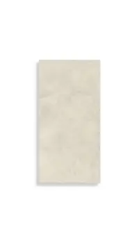 vloertegel Wit 60 x 120 | 557-041 | Jan Groen Tegels