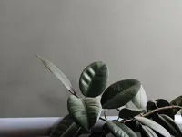 vloertegel Grijs 120 x 120 | 458-646 | Jan Groen Tegels