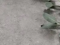 vloertegel Grijs 60 x 60 | 937-394 | Jan Groen Tegels