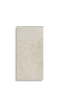 vloertegel Wit 30 x 60 | 135-670 | Jan Groen Tegels