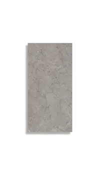 vloertegel Grijs 30 x 60 | 127-951 | Jan Groen Tegels