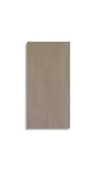 wandtegel Bruin 30 x 60 | 548-597 | Jan Groen Tegels