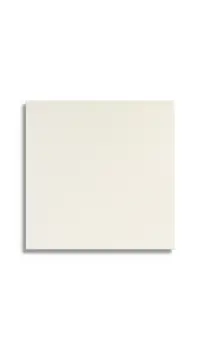 vloertegel Wit 60 x 60 | 605-421 | Jan Groen Tegels