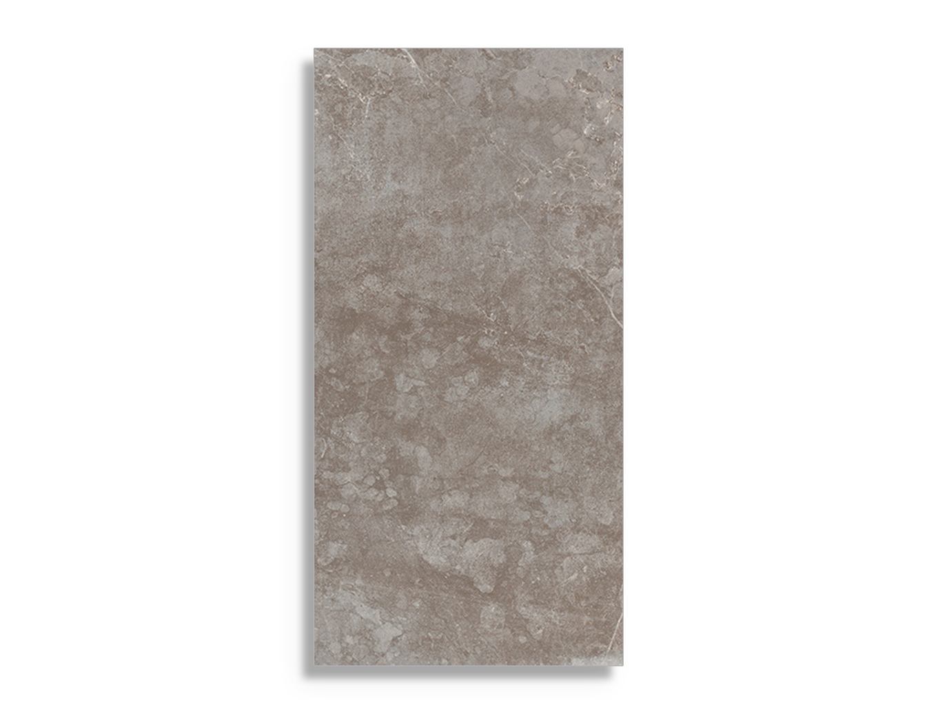 vloertegel Taupe 60 x 119.5
