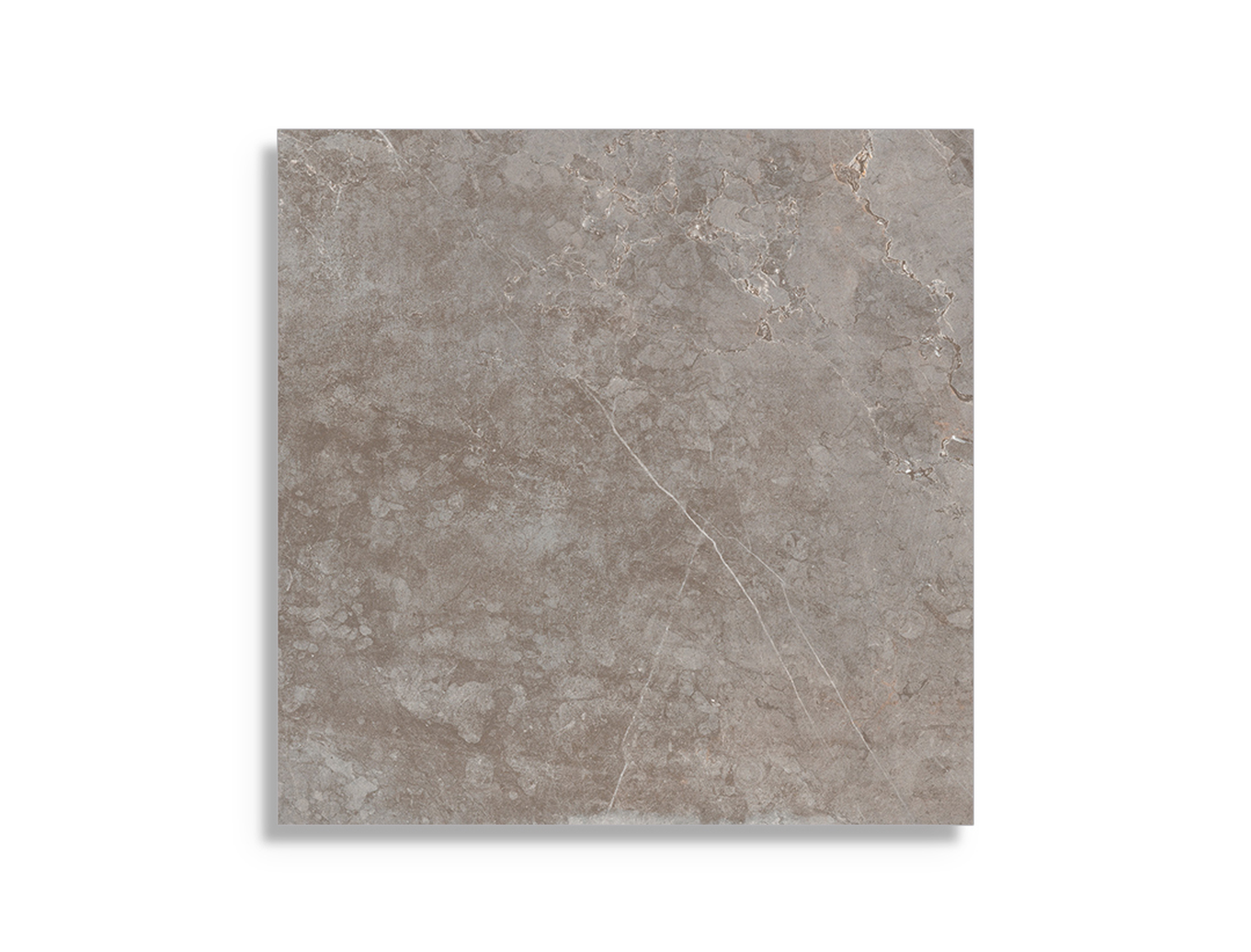 vloertegel Taupe 60 x 60