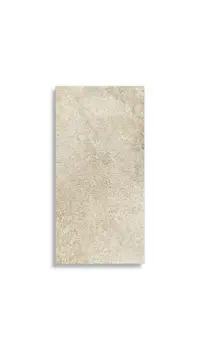 vloertegel Multi 60 x 120 | 258-580 | Jan Groen Tegels