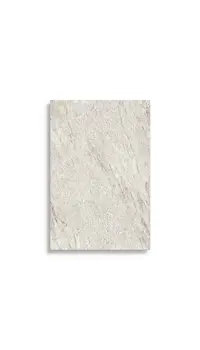 vloertegel Grijs 60 x 90 | 590-814 | Jan Groen Tegels