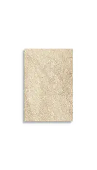 vloertegel Beige 60 x 90 | 751-595 | Jan Groen Tegels