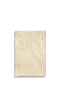 vloertegel Beige 60 x 90 | 751-595 | Jan Groen Tegels