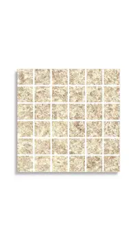 mozaiek Beige 30 x 30 | 734-046 | Jan Groen Tegels
