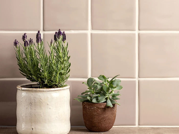 Wandtegel Beige  12,7x12,7x1 | 389-280 | Jan Groen Tegels