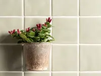 wandtegel Groen 12.7 x 12.7 | 491-696 | Jan Groen Tegels