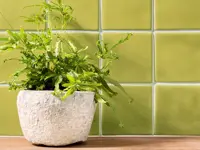 wandtegel Groen 12.7 x 12.7 | 768-895 | Jan Groen Tegels