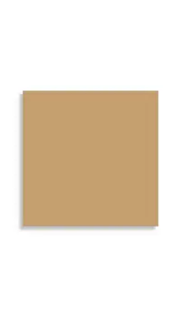 vloertegel Beige 10.6 x 10.6 | 146-356 | Jan Groen Tegels