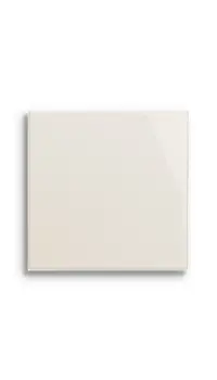 wandtegel Wit 15.2 x 15.2 | 896-838 | Jan Groen Tegels