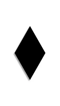 vloertegel Zwart 10.5 x 18.2 | 215-737 | Jan Groen Tegels