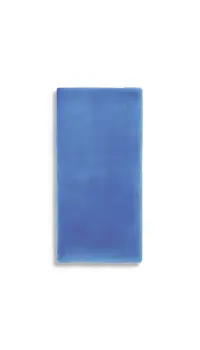 wandtegel Blauw 10 x 20 | 158-598 | Jan Groen Tegels