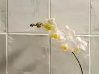 wandtegel Grijs 13 x 13 | 769-737 | Jan Groen Tegels