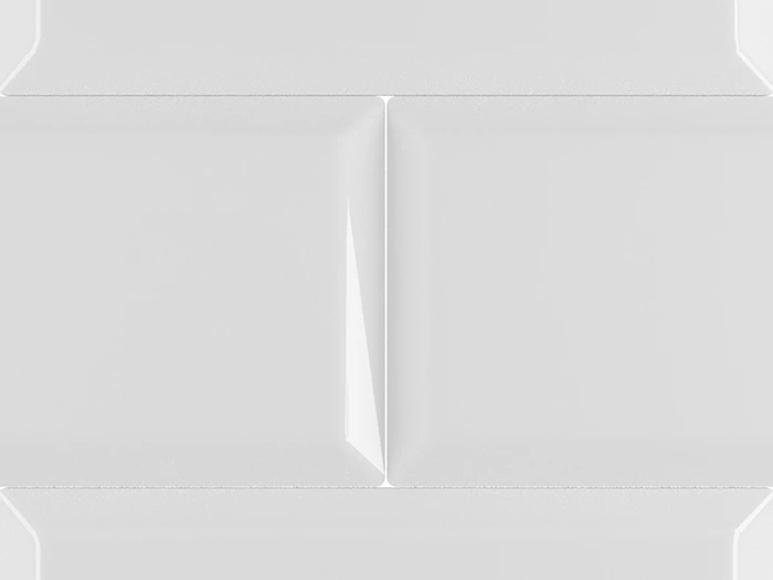 Wandtegel Biselado Blanco Brillo 10x20 | 237-889 | Jan Groen Tegels