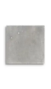 vloertegel Grijs 20 x 20 | 289-220 | Jan Groen Tegels