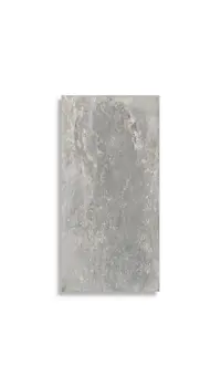 vloertegel Grijs 40 x 80 | 118-171 | Jan Groen Tegels