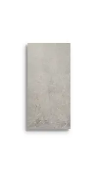 Vloertegel Zilver  60x120x1 | 827-418 | Jan Groen Tegels