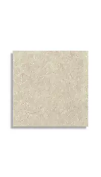vloertegel Beige 60 x 60 | 558-620 | Jan Groen Tegels