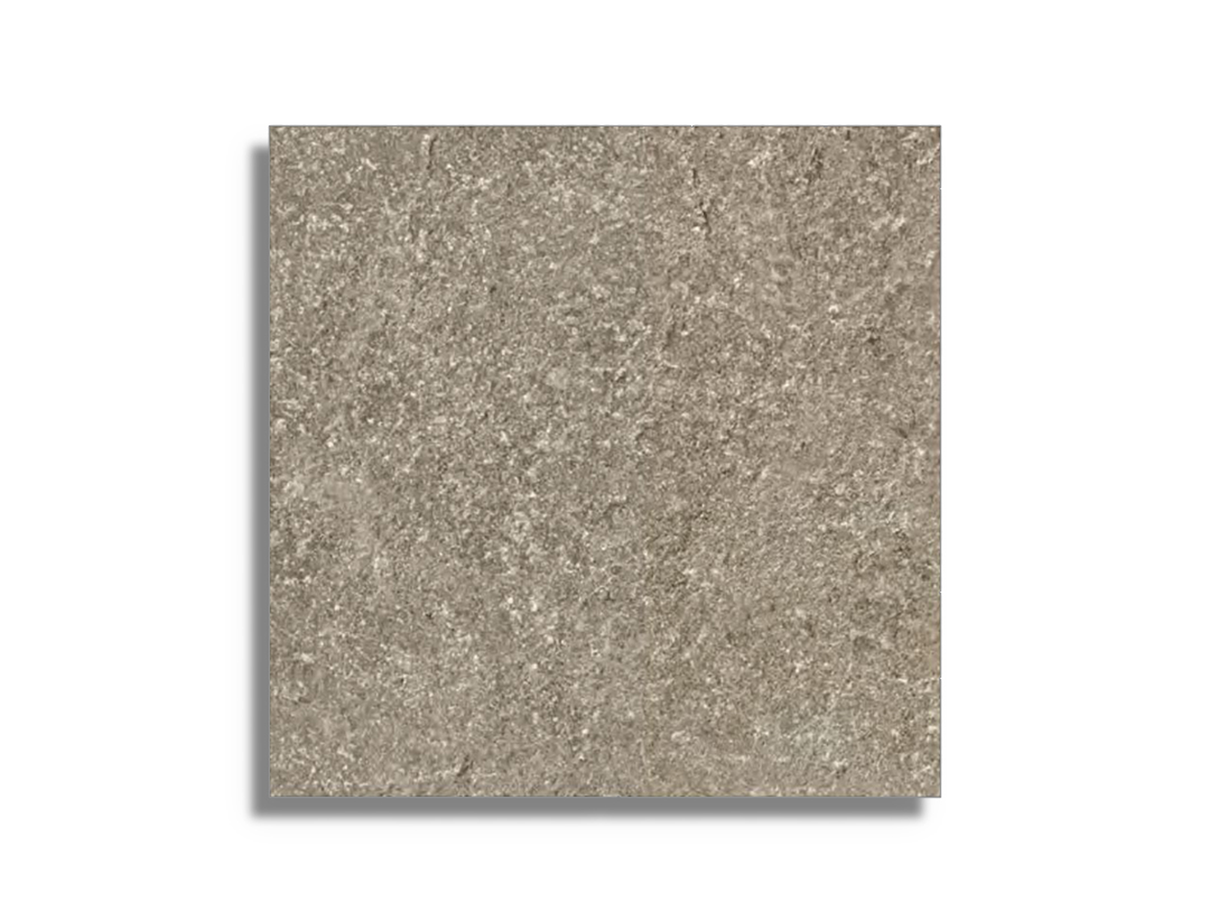 vloertegel Taupe 80 x 80