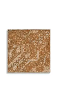 vloertegel Bruin 20 x 20 | 806-205 | Jan Groen Tegels