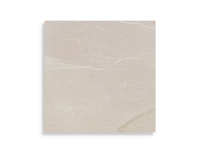 vloertegel Beige 59.6 x 59.6 | 220-256 | Jan Groen Tegels