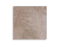 vloertegel Beige 44.3 x 44.3 | 893-887 | Jan Groen Tegels