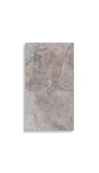 wandtegel Zilver 33.3 x 59.2 | 523-657 | Jan Groen Tegels