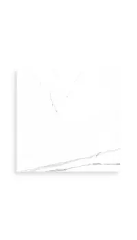 vloertegel Wit 80 x 80 | 968-776 | Jan Groen Tegels