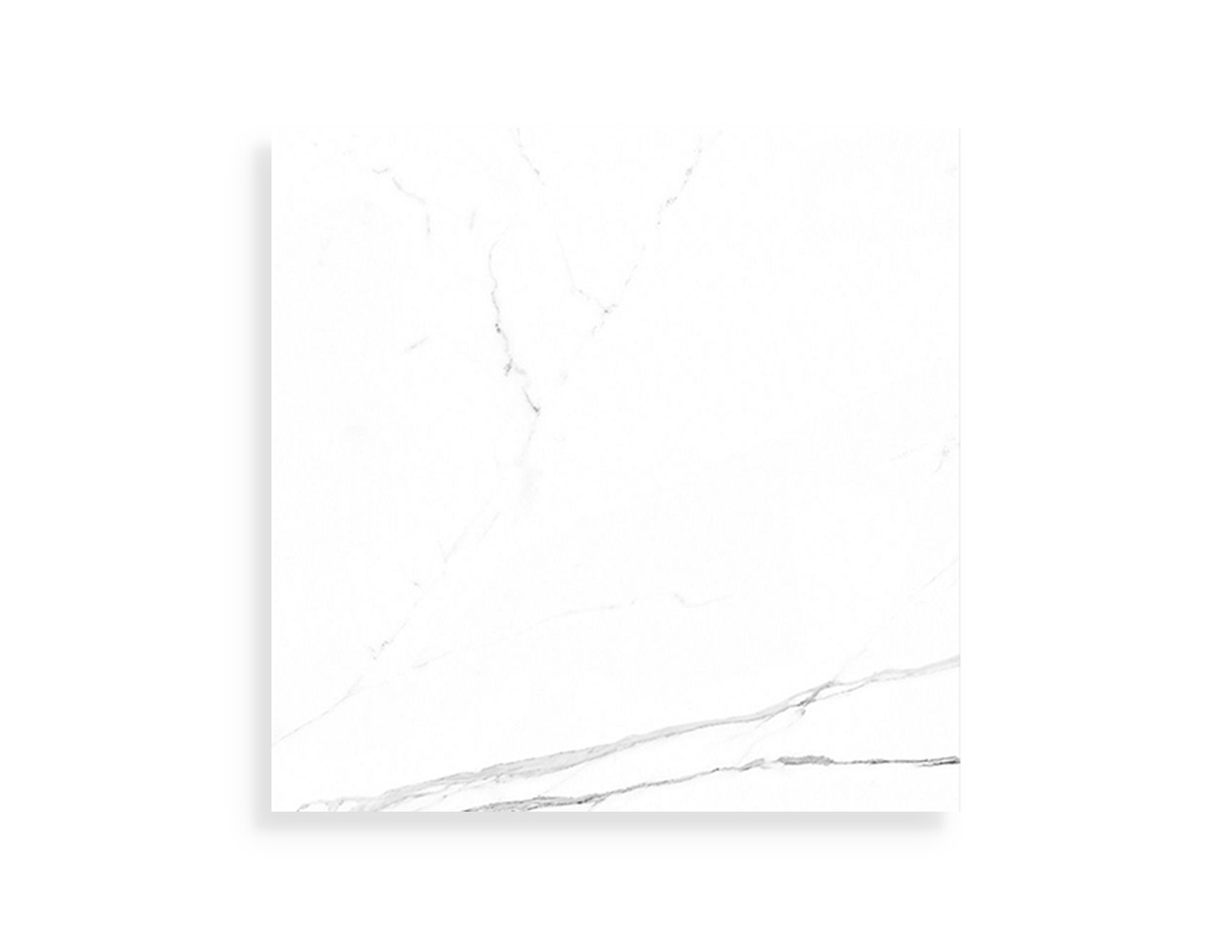 vloertegel Porcelanosa Artic Nature 80 x 80