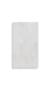 wandtegel Wit 33.3 x 59.2 | 670-247 | Jan Groen Tegels