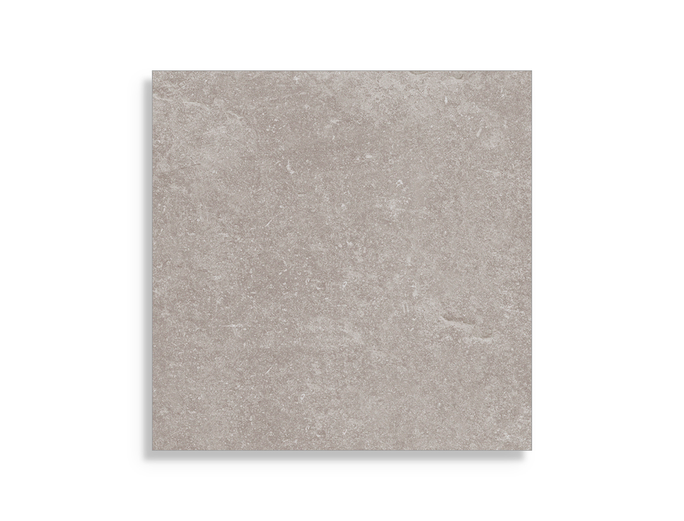 vloertegel Porcelanosa Verbier Silver 59,6 x 59,6