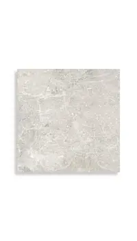 vloertegel Beige 59.6 x 59.6 | 850-116 | Jan Groen Tegels