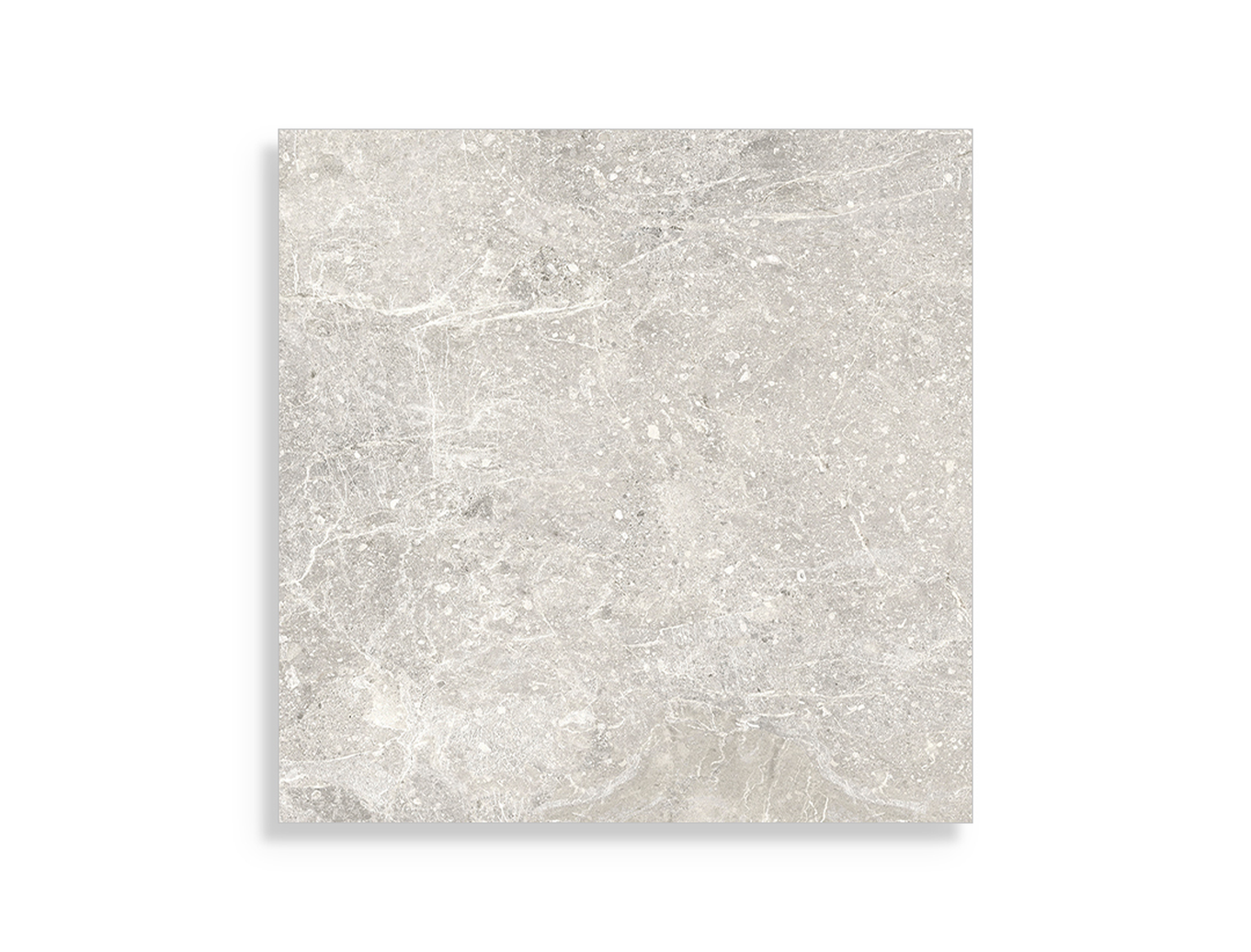 vloertegel Porcelanosa Noir Caliza 59,6 x 59,6