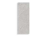 wandtegel Porcelanosa Lucerna Acero 45 x 120 | 515-822 | Jan Groen Tegels