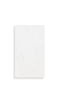 wandtegel Wit 25 x 44.3 | 973-995 | Jan Groen Tegels