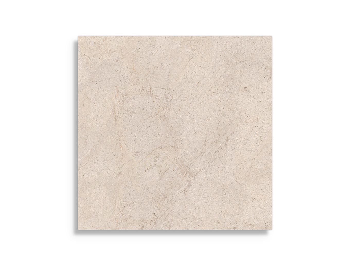vloertegel Porcelanosa Dorcia Bone 120 x 120