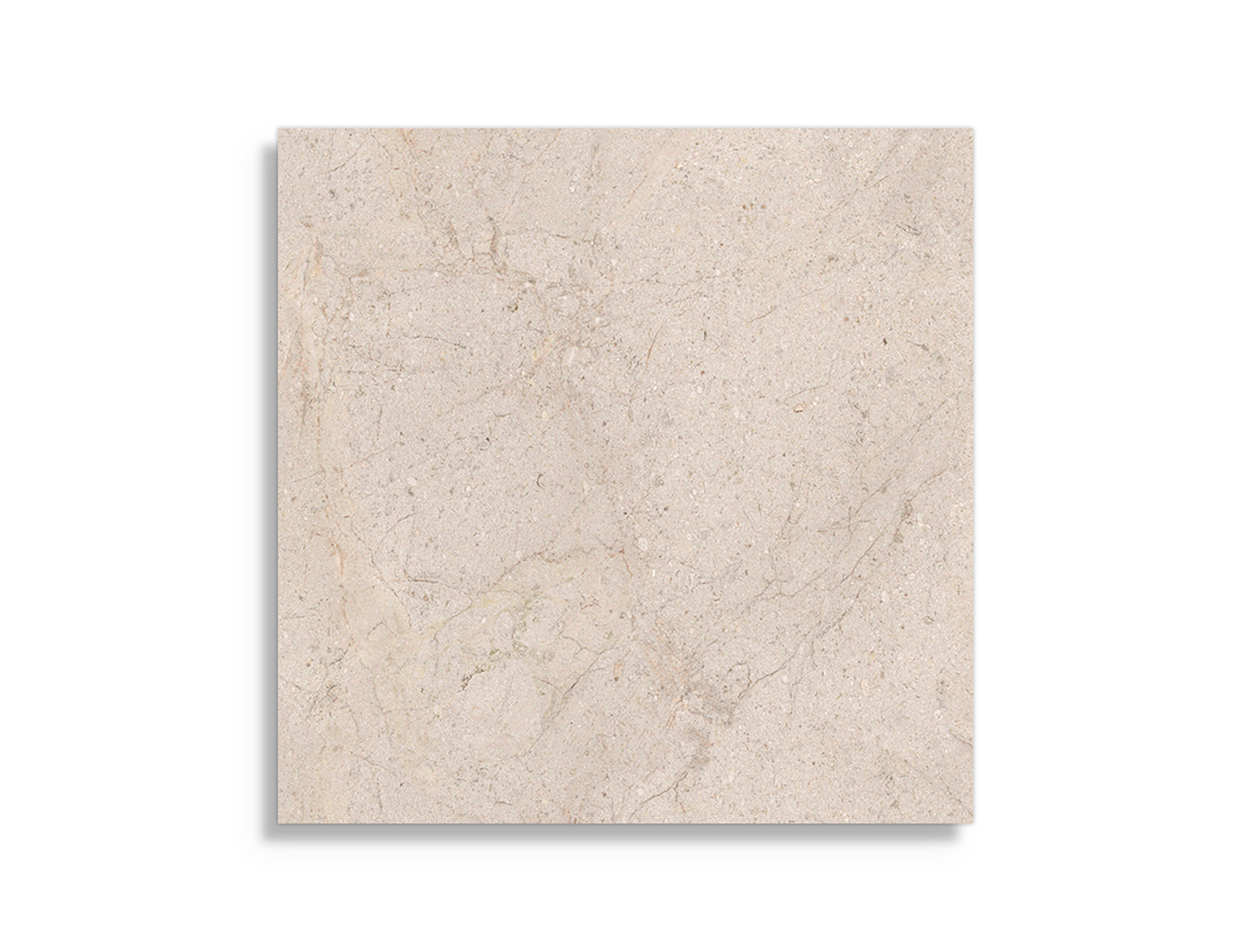 vloertegel Porcelanosa Dorcia Bone 80 x 80