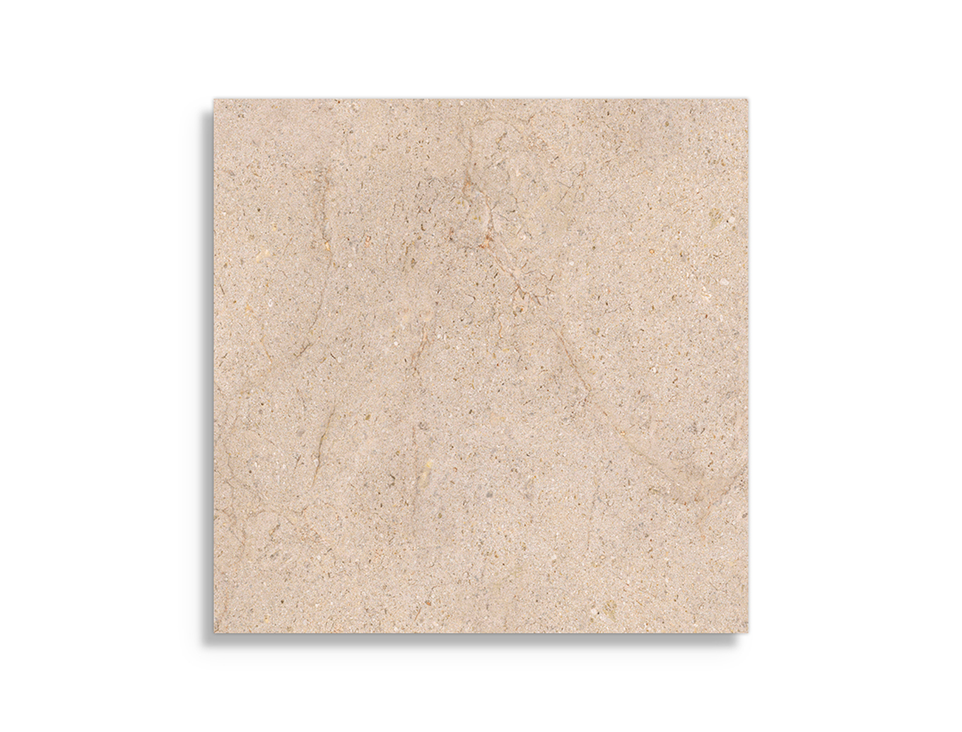 vloertegel Porcelanosa Dorcia Marfil 80 x 80