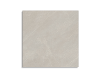 vloertegel Porcelanosa Mystic Beige 120 x 120 | 583-748 | Jan Groen Tegels