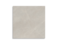 vloertegel Porcelanosa Mystic Beige 120 x 120 | 583-748 | Jan Groen Tegels