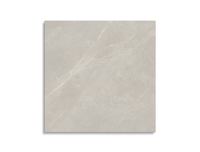 vloertegel Porcelanosa Mystic Beige  80 x 80 | 730-547 | Jan Groen Tegels