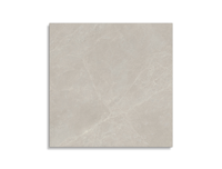 vloertegel Porcelanosa Mystic Beige  80 x 80 | 730-547 | Jan Groen Tegels