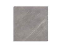 vloertegel Porcelanosa Mystic Grey 120 x 120 | 157-817 | Jan Groen Tegels