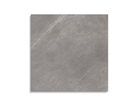 vloertegel Porcelanosa Mystic Grey 120 x 120 | 157-817 | Jan Groen Tegels