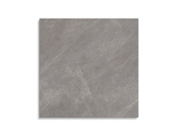 vloertegel Porcelanosa Mystic Grey 120 x 120 | 157-817 | Jan Groen Tegels